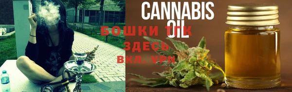 mdpv Ельня