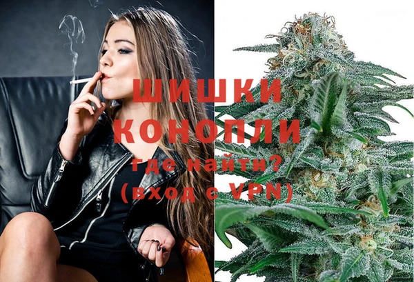 mdpv Ельня