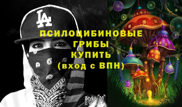 mdpv Ельня