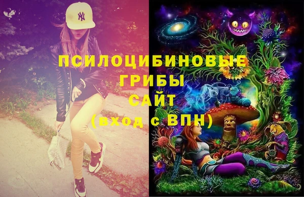 шишки Елабуга