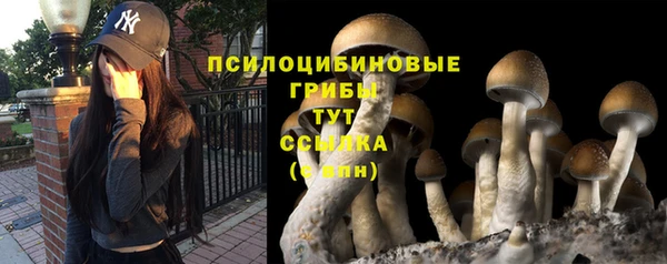 шишки Елабуга