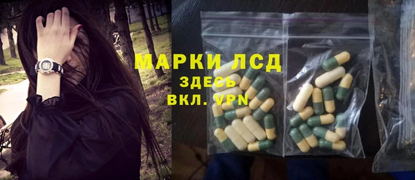 PSILOCYBIN Бердск