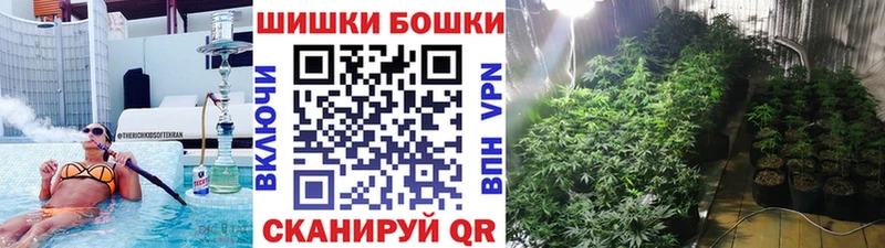 Каннабис SATIVA & INDICA  Купить закладки  Зубцов 